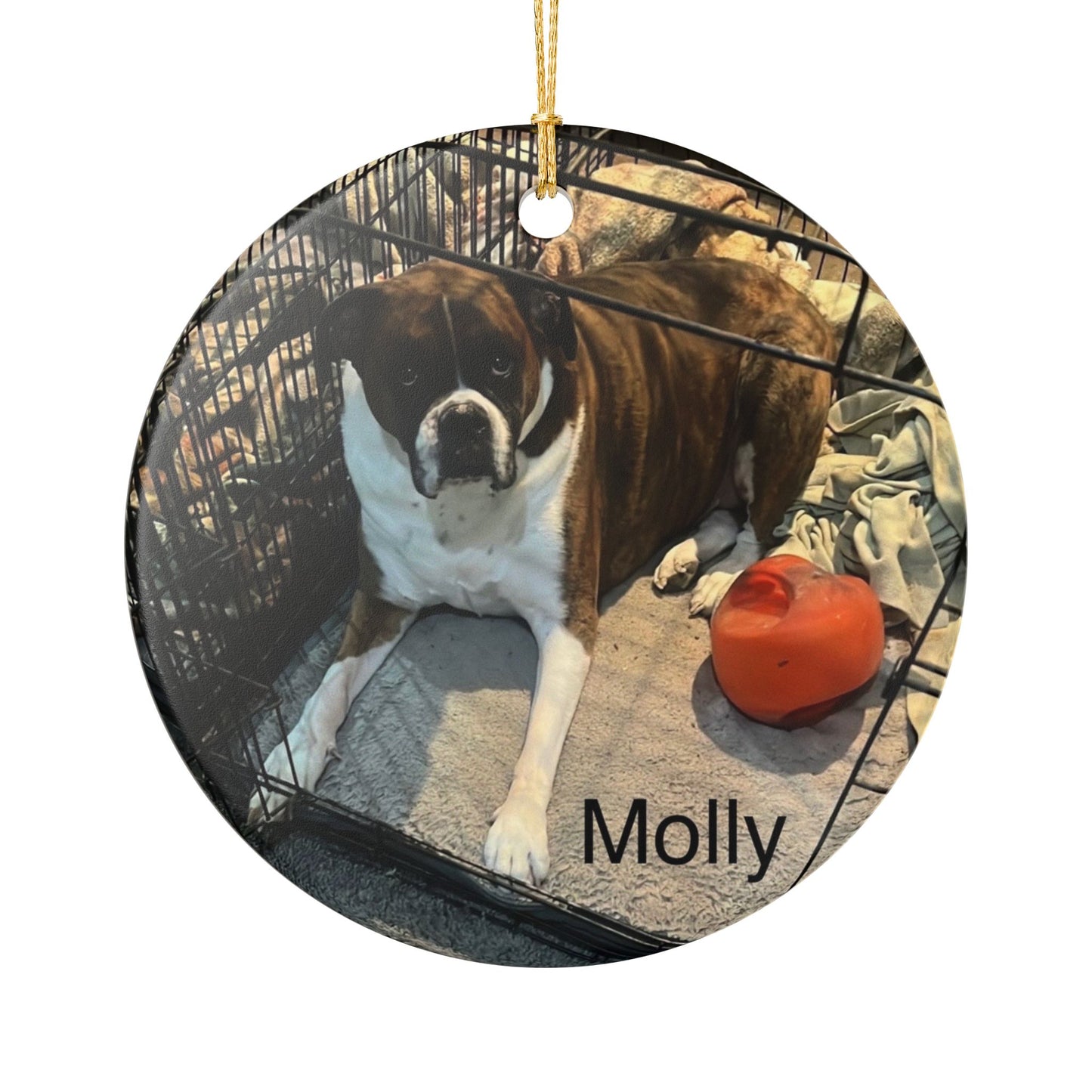 Molly